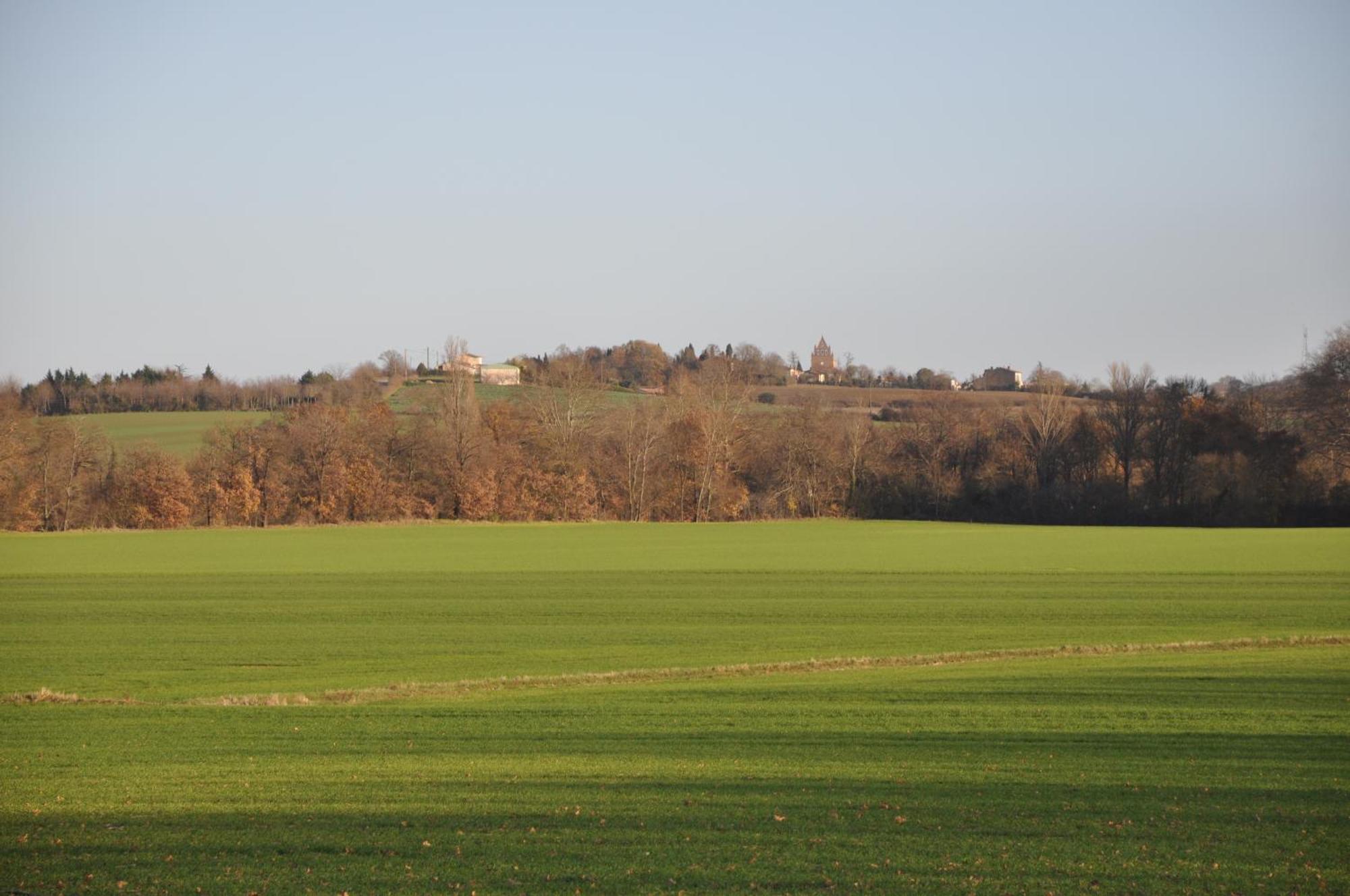 Domaine De Hurlevent Montgaillard-Lauragais Екстериор снимка