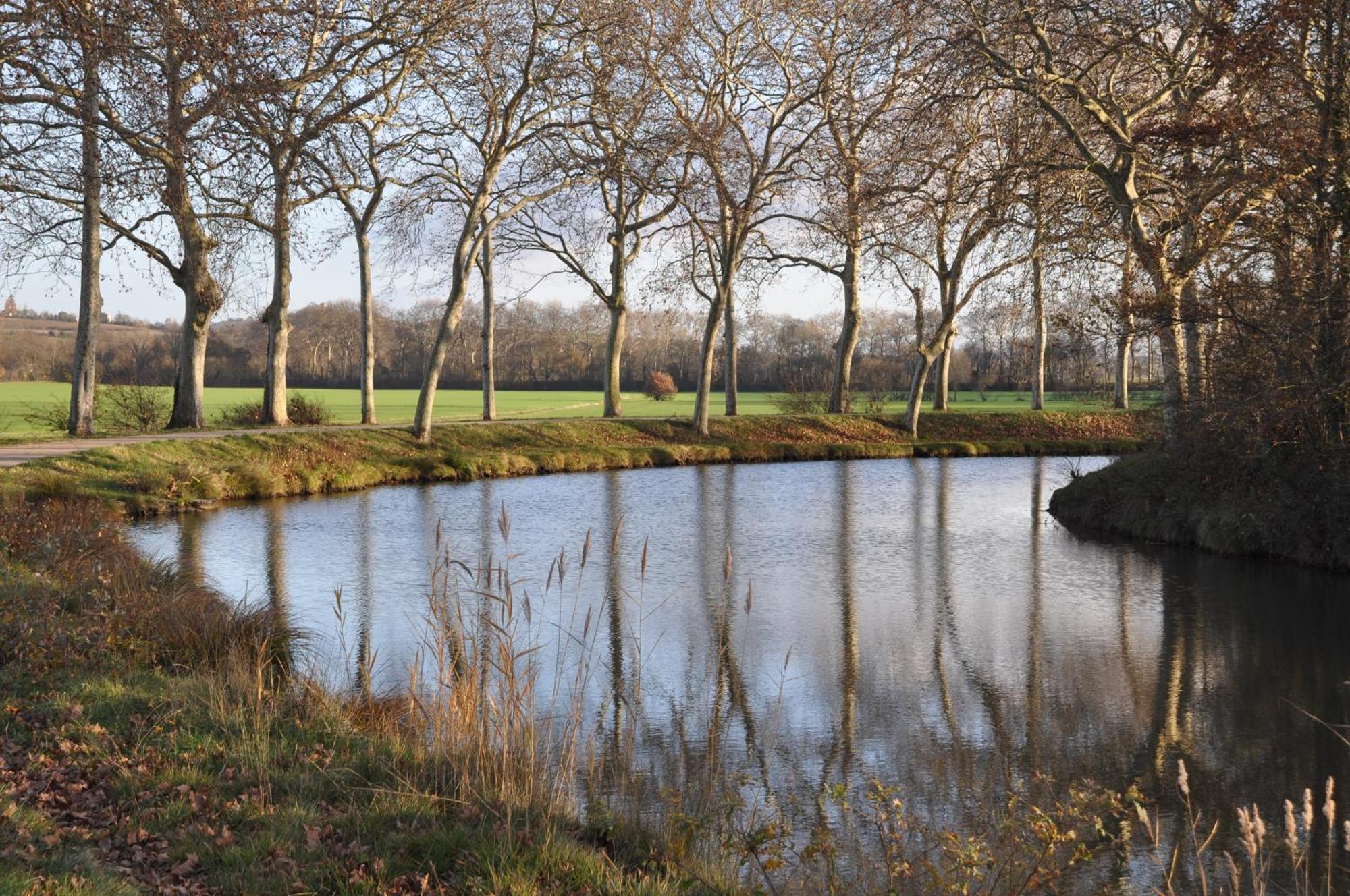 Domaine De Hurlevent Montgaillard-Lauragais Екстериор снимка